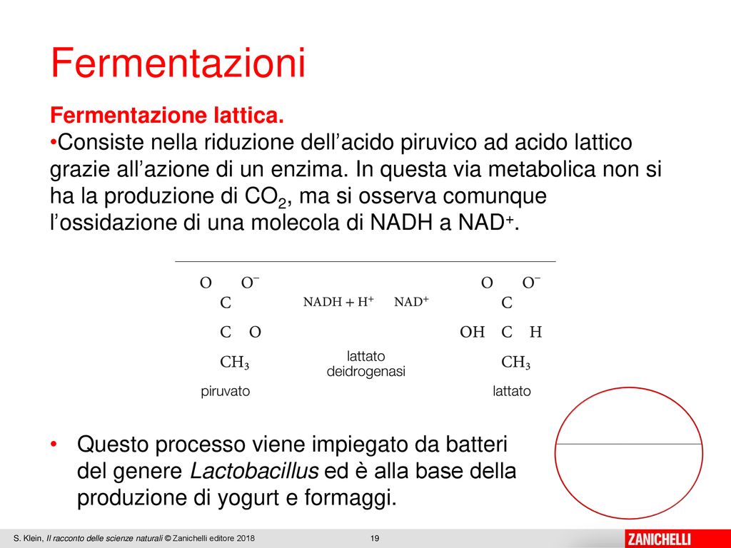 1 Ppt Scaricare